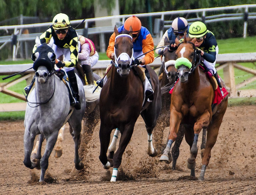 sunbet horse racing